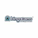 Bingocams Logo