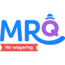 Mr Q Bingo