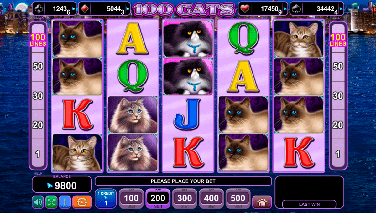 Cats Slots