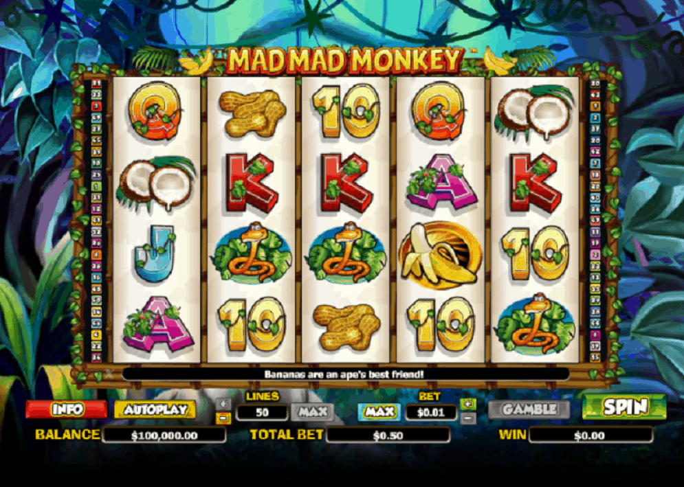 Mad Mad Monkey Slot