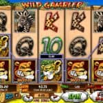 Wild Gambler Slot