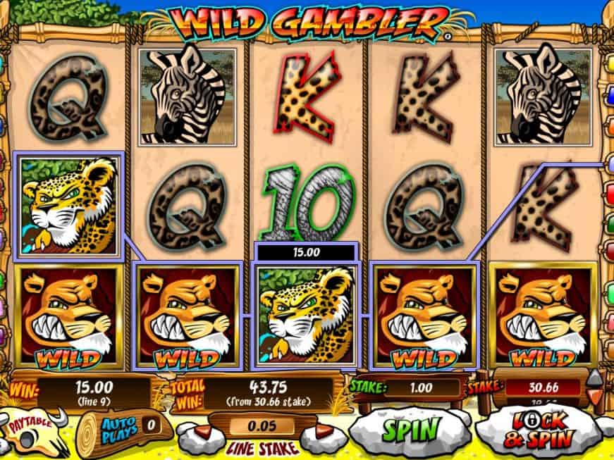 Wild Gambler Slot