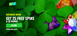 Rise Casino offer screenshot